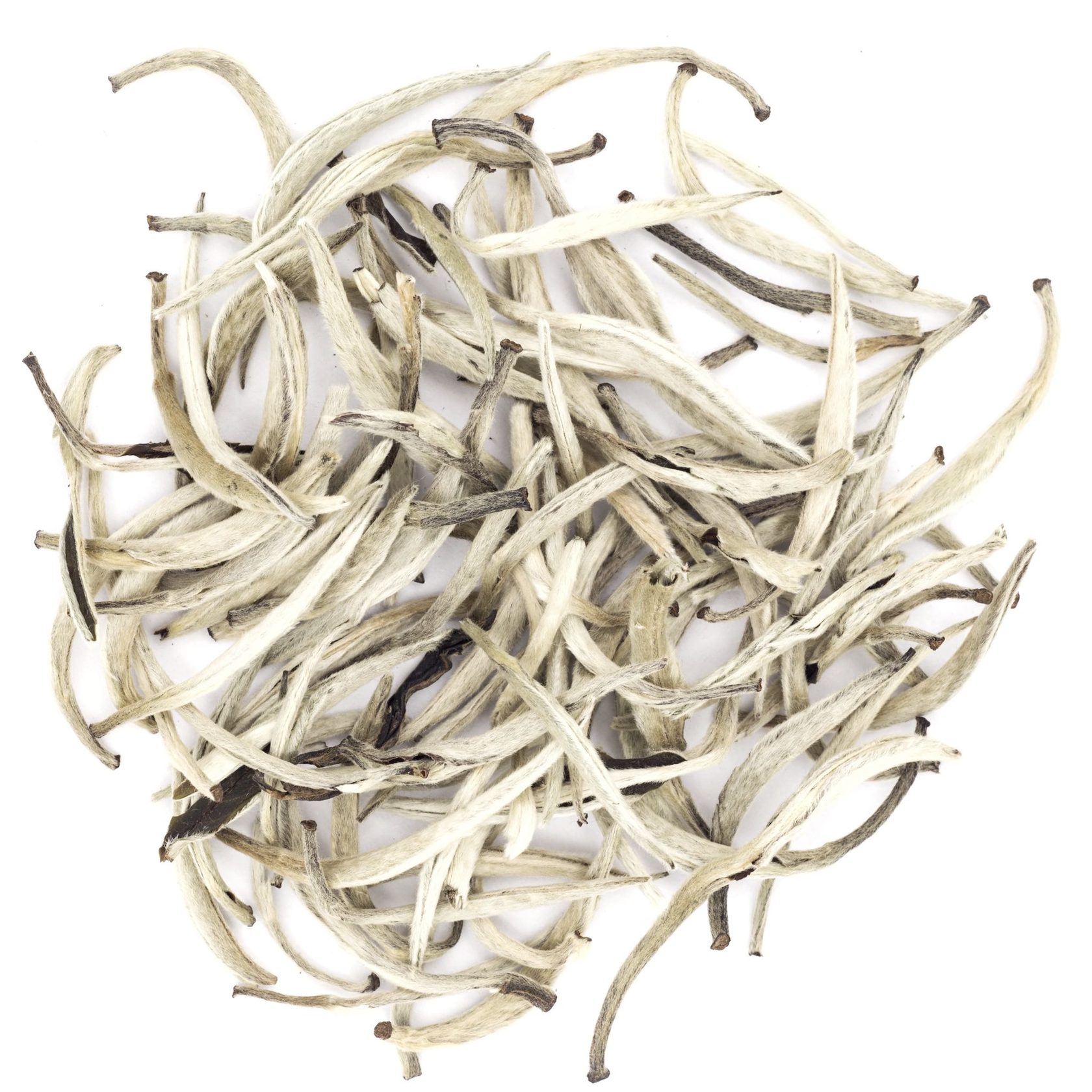 Imperial Silver Needle