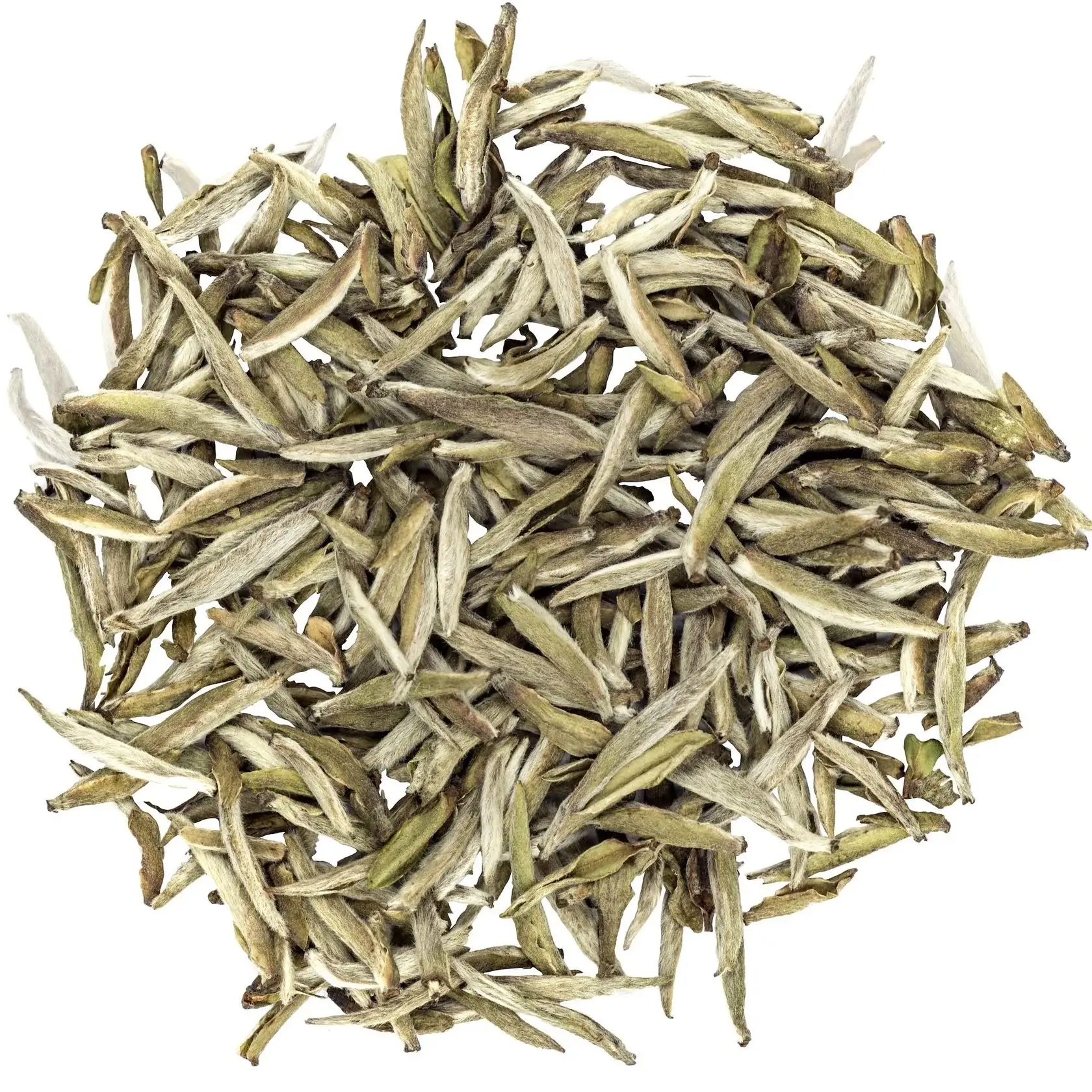 White Hair Silver Needle